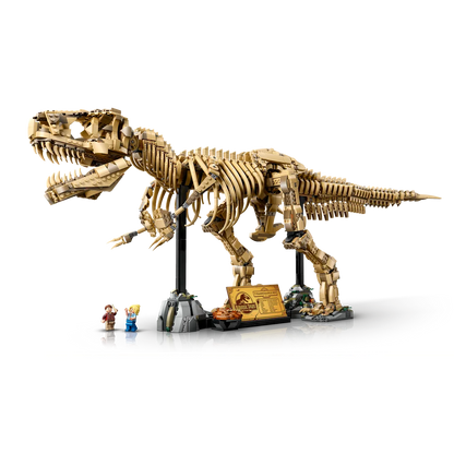 LEGO 76968
