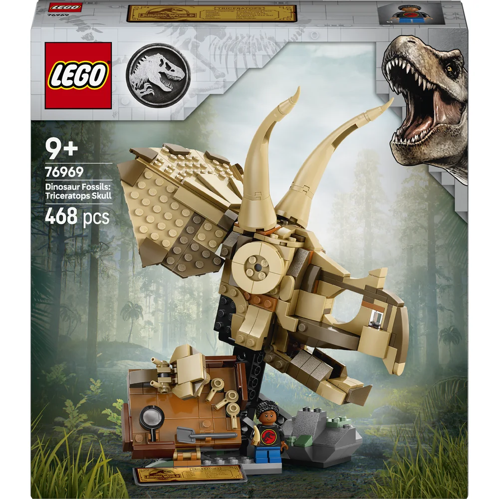 LEGO 76969