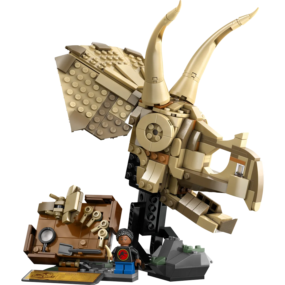 LEGO 76969