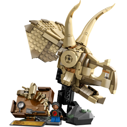LEGO 76969