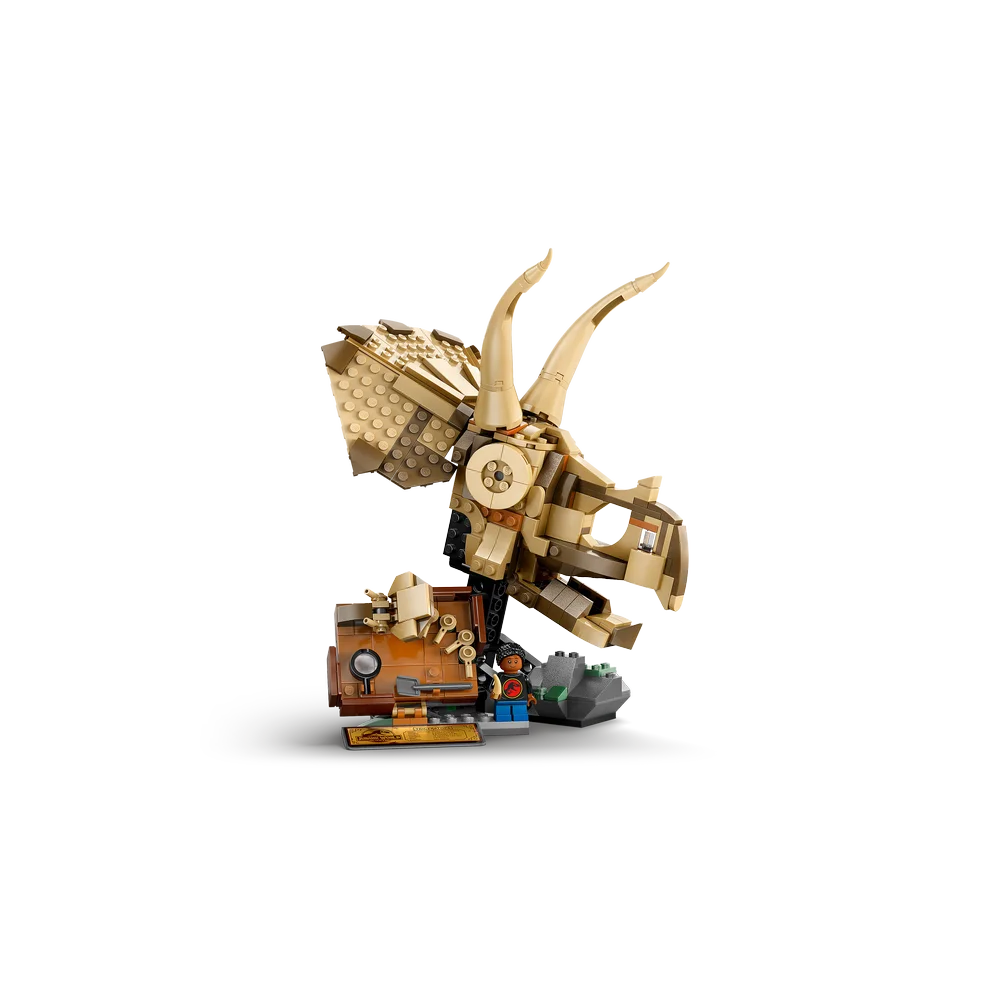 LEGO 76969