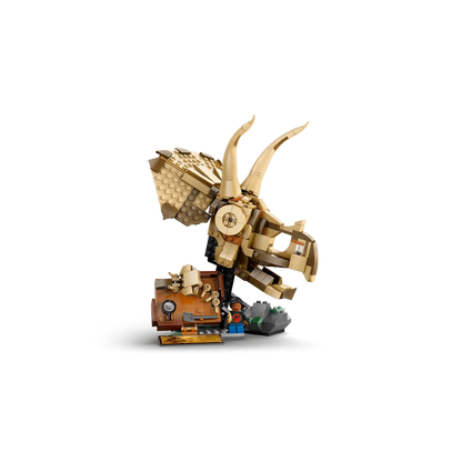 LEGO 76969