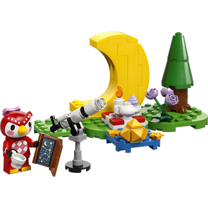 LEGO 77053