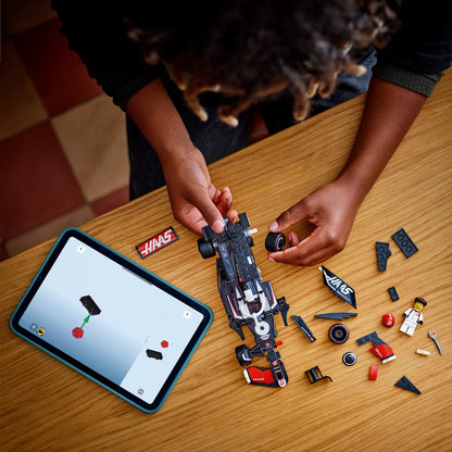 LEGO 77250