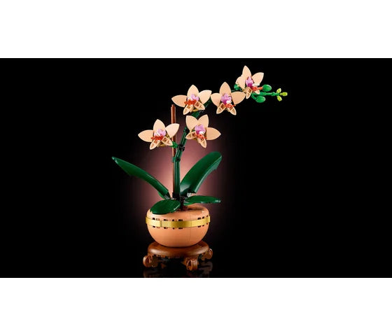 LEGO Botanische collectie - Miniorchidee - 10343
