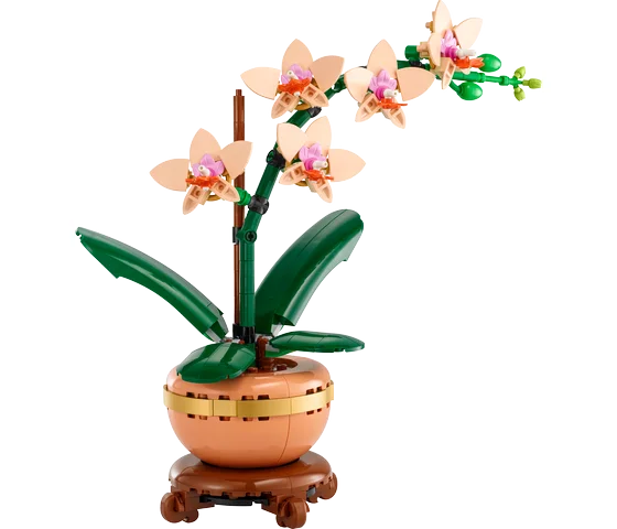 LEGO Botanische collectie - Miniorchidee - 10343