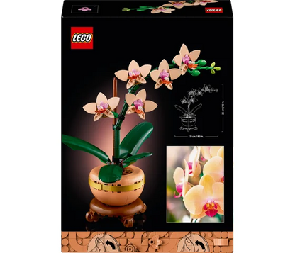 LEGO Botanische collectie - Miniorchidee - 10343