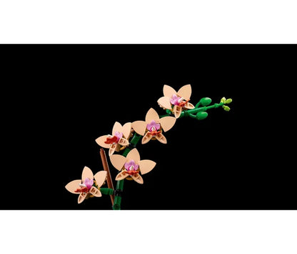 LEGO Botanische collectie - Miniorchidee - 10343