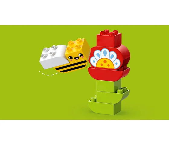 LEGO DUPLO - Creatieve bloementuin - 10444