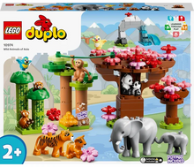 LEGO DUPLO - Wilde dieren van Azië - 10974