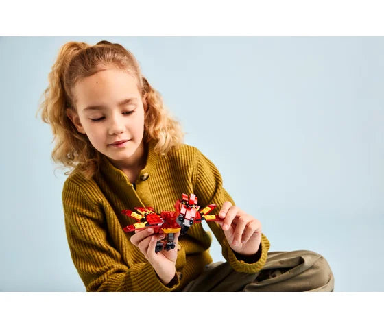 LEGO Harry Potter - Felix: de feniks van Perkamentus - 76448