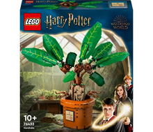 LEGO Harry Potter - Mandragora - 76433