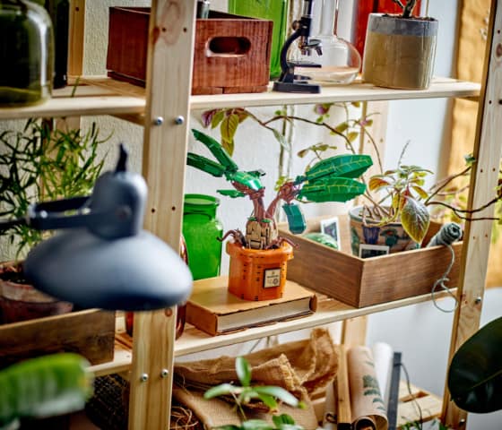 LEGO Harry Potter - Mandragora - 76433