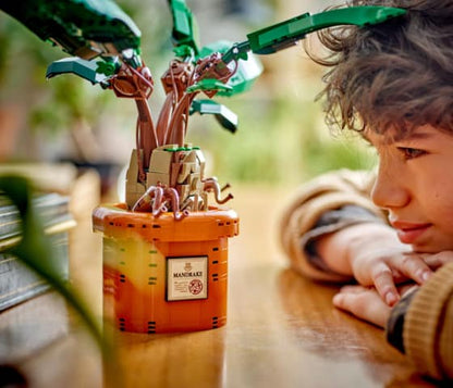 LEGO Harry Potter - Mandragora - 76433