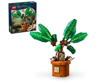 LEGO Harry Potter - Mandragora - 76433