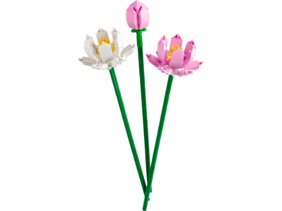 LEGO Botanische collectie - Lotusbloemen - 40647