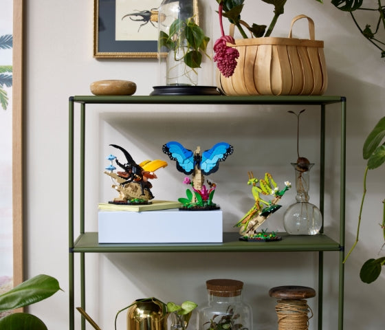 LEGO Ideas - De insectencollectie - 21342