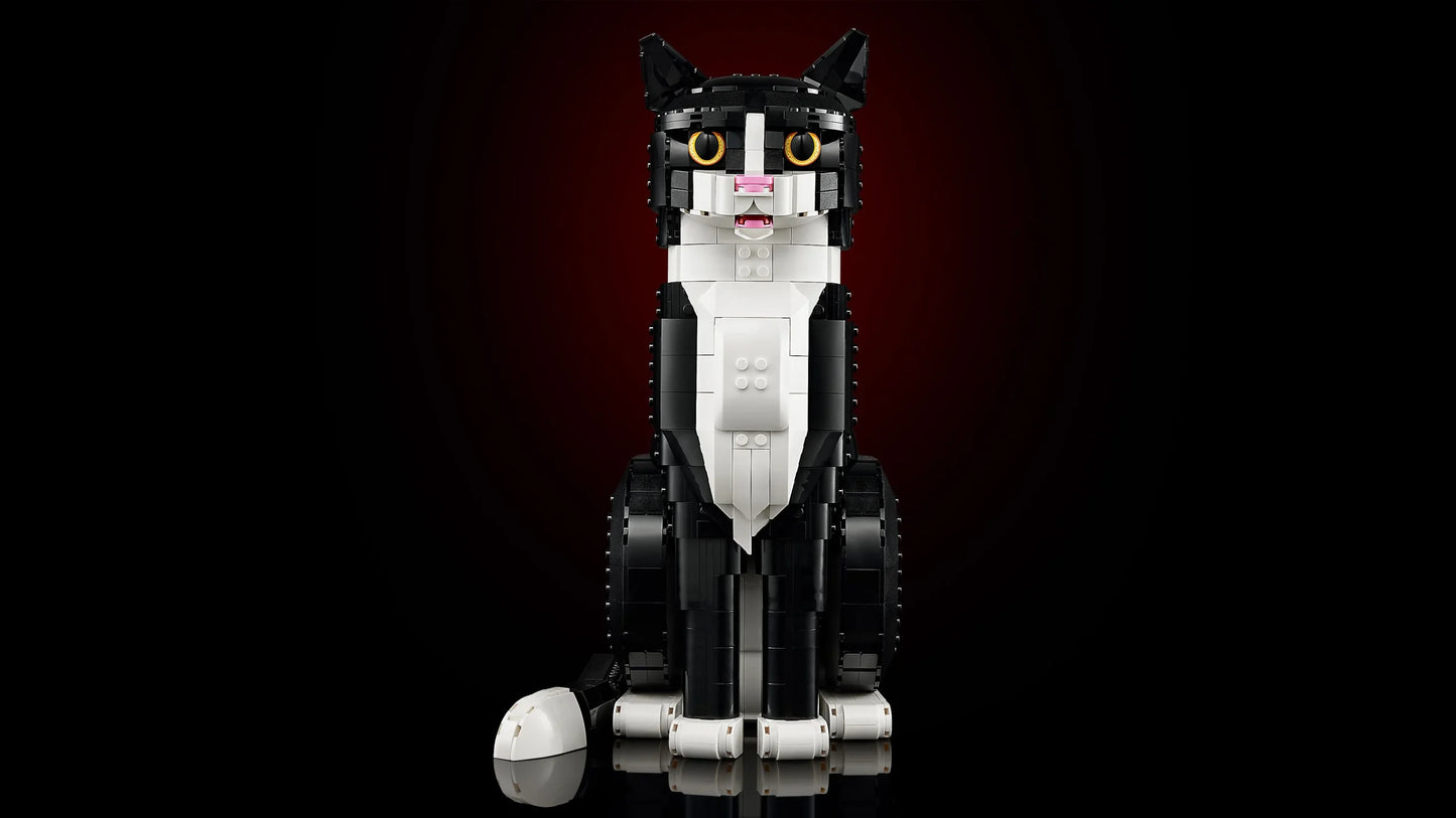 LEGO Ideas - Zwart-witte kat - 21349