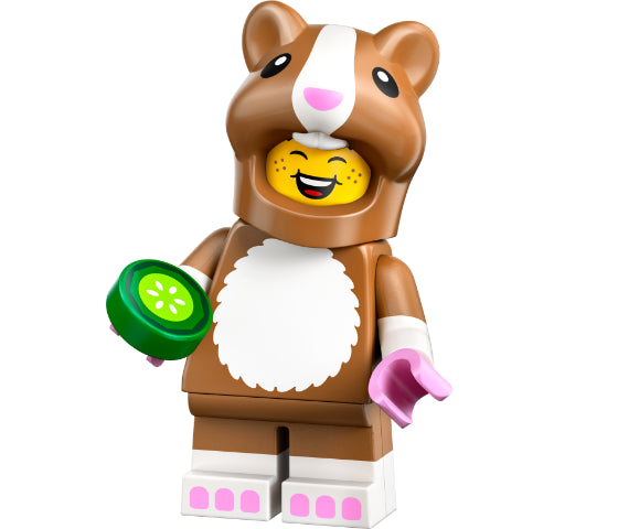 LEGO Minifigures - Serie 27 - 71048