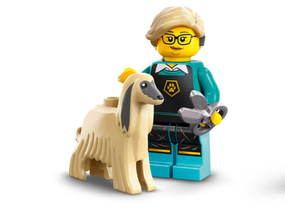 LEGO Minifiguren - Serie 25 - 71045