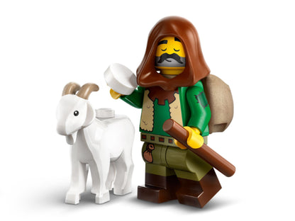 LEGO Minifiguren - Serie 25 - 71045