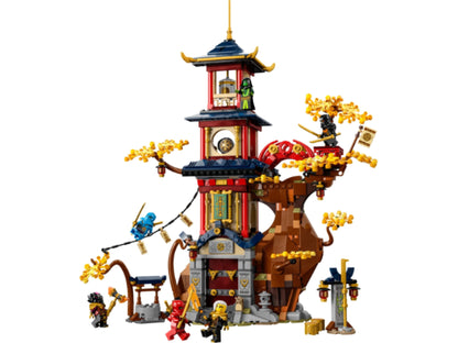 LEGO Ninjago - Tempel van de drakenenergiekernen - 71795