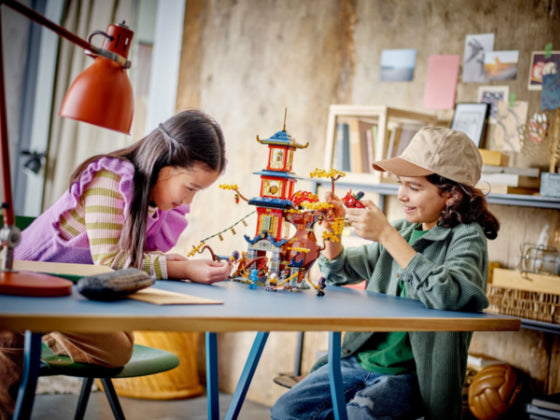 LEGO Ninjago - Tempel van de drakenenergiekernen - 71795