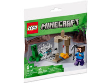 LEGO Minecraft - De Druipsteengrot - 30647