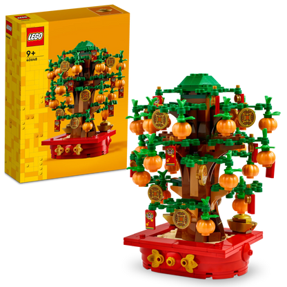 LEGO Seasonal - Geldboom - 40648