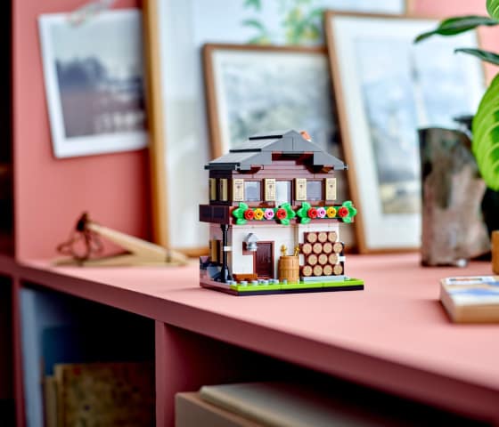 LEGO Seasonal - Huizen van de wereld 3 - 40594