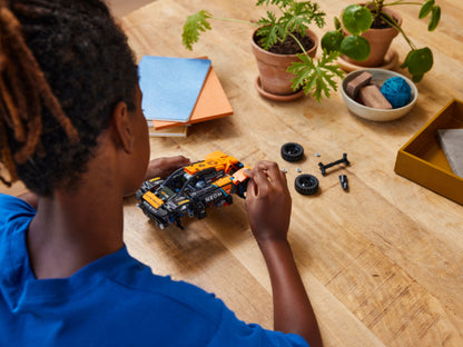 LEGO Technic - NEOM McLaren Extreme E racewagen - 42166