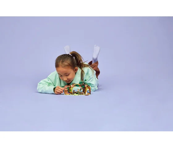 LEGO Wicked - Elphaba's schuilhut - 75687