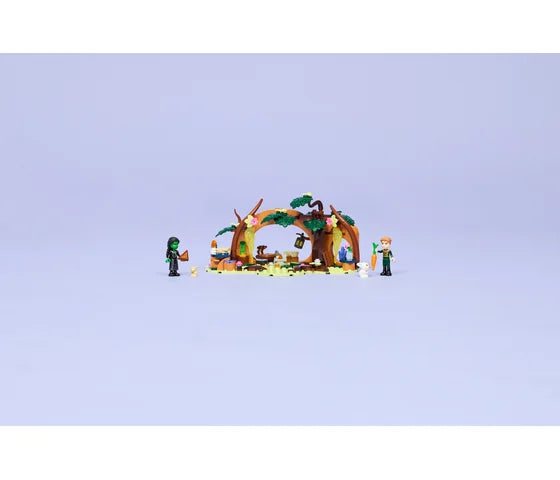 LEGO Wicked - Elphaba's schuilhut - 75687